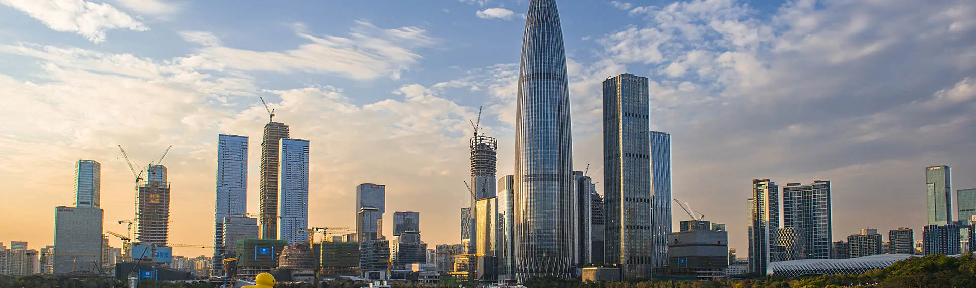 Shenzhen shengxinwei Electronics Co
